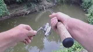 MONSTER Fish SNAPS My Rod!! (Huge Fish from a TINY Creek)