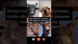 Созвонились с друзьями