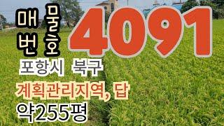 255여평, 농지(답,농로 접), 바다 인근.