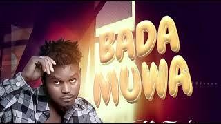 M Zakir Niger ( Badamuwa) Music Audio