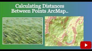 Calculating distances between points ArcMap