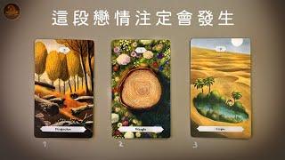  這段戀情注定會發生｜ 宇宙早已安排命定之人  正在靈性覺醒後走向你 ️愛情占卜️適用任何時間季節 / CC(Sub)EN-JP-TC