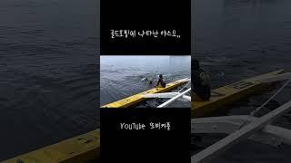 야필패.  #또비커플 #한필커플 #세부호핑투어 #골드호핑 #롤 #야스오