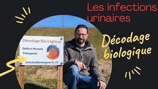 Les infections urinaires 1.1 -  Décodage biologique