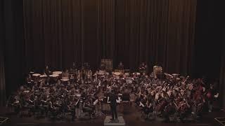 步步惊心丽 组曲 Scarlet Heart Ryeo Medley _ 新科大华乐团 SUTD Chinese Orchestra (SUTDCO)