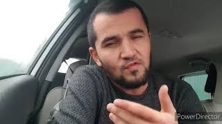 Ҳосили кишт дар коштаи туст  Abdullah Bobiev