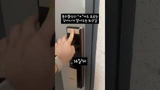 :분리불안? 그게 몬데ㅋ #강아지 #반려견 #웰시코기 #puppy #분리불안 #cutedog #강아지일상 #반려동물 #며루치 #corgi