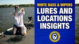 Whacking White Bass and Wipers, part 3 of 3 #fishingtips #whitebassfishing