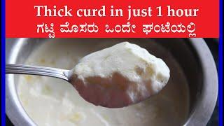 How to make (prepare) curd at home | Thick curd in 1 hour - less time | Gatti mosaru maduva vidhana