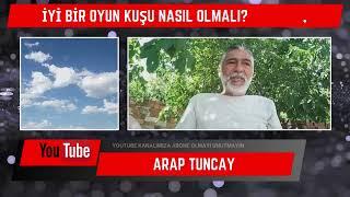 İyi Bir Oyun Kuşu Nasıl Olmalı? Ve Neler Yapmalı!