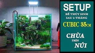 SETUP bể thủy sinh "Chùa trên Núi " | Cubic 35cm #kenhthuysinh p62