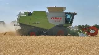 Žatva 2022 Pšenica NEW HOLLAND CX8090+CLAAS LEXION 770+CLAAS LEXION 750  4.časť