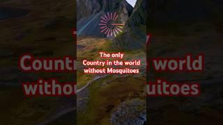 The only country in the world without mosquitoes.