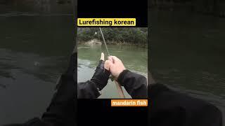 쏘가리 낚시!! 나의 취미생활 쏘가리 루어낚시!! lurefishing_ルアー釣り #lurefishing #korean