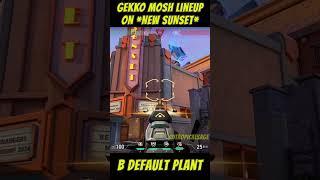 NEW SUNSET MAP | Gekko Mosh pit Lineup for B default Plant #valorant #valorantlineups #valorantclips