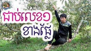 ដើមទុរេនដែលជាប់លំដាប់លេខ១ខាងផ្លែ | Khmer Agriculture | EXM Cambodia agriculture