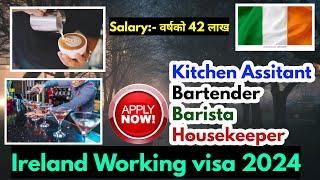 ireland working visa for nepali | how to apply ireland work visa from nepal | ireland kasari jane