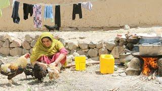 Daily Life in Afghanistan Villages: Secrets of Traditional Afghan Cooking