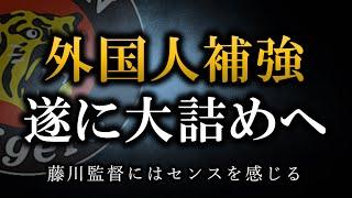 藤川監督と共鳴している【阪神外国人補強】