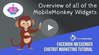 Overview of MobileMonkey Widgets