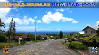 Kahala-Waialae Neighborhood | Drive Around Kahala-Waialae Neighborhood  Oahu, Hawaii 4K Driving