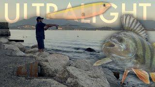 PERSICI REALI A WTD !! - Pesca Spinning Ultralight al Pesce persico da riva