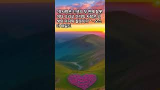 첫사랑은 잊을 수 없다