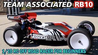 Discover the Best RC Buggy for Beginners - The Team Associated RB10