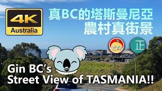 20210319K 真BC的塔斯曼尼亞農村真街景 Gin BC‘s Street View of TASMANIA!!!!