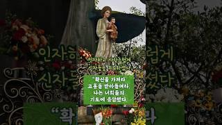 베트남 라방 성모님 발현 이야기 #라방성모님발현#성지순례