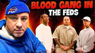 NY Blood Shot Caller Gets Busy In The Feds.