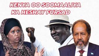 KENYA OO FURSAD KA HESHAY MADAXWEYNE XASAN SHEEKH FOWSIYO OO DIRTAY FARIIN ADAG BANDHIGGA KALSAN TV