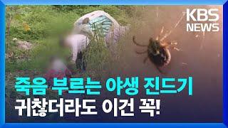 죽음까지 부르는 야생 진드기…야외활동 주의점은? [친절한 뉴스K] / KBS  2023.07.25.