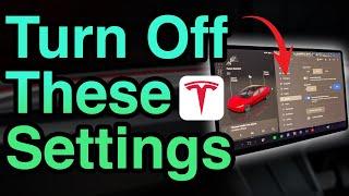 Tesla Setting's to TURN OFF Before You Drive