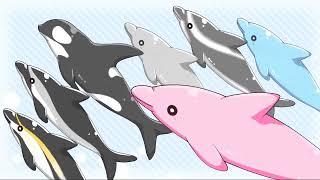 Vtuber Stream Asset - Dolphin