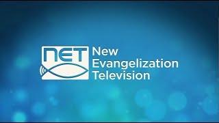 NET  TV  Promo Reel & Highlights (2018)