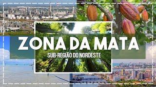 As sub-regiões do Nordeste: Zona da Mata