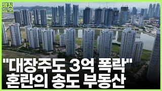 올랐다더니 여긴 대체 왜.. “오션뷰, 역세권, 학세권도 소용없다" | 부동산 랭킹뉴스