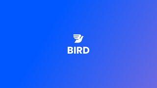 Introducing Bird — Marketing, Sales, and Payments CRM for modern businesses