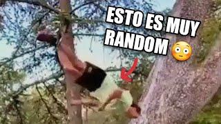 Los Mejores VIDEO MEMES RANDOM DE INTERNET #13, Si Te Ries Pierdes, Try Not To Laugh, Funny Memes