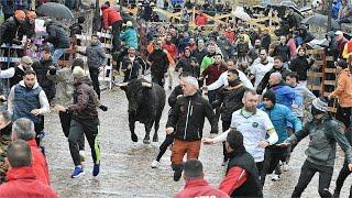 TODOS LOS DESENCIERROS DEL CARNAVAL DEL TORO CIUDAD RODRIGO 2025