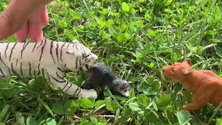 A Tiger Story /part 10/ Schleich