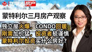 蒙特利尔3月地产观察：独立屋火爆，CONDO回暖|刚需加价猛，投资者较谨慎|蒙特利尔投资买什么房好？| YangYang Zhang