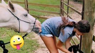 FUNNIEST Farm Animals!  | Best Videos for families