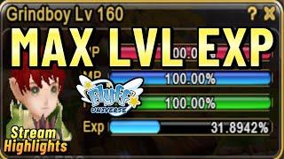 Wieviel EXP bekommt man im Endgame MAX Level Grind von Flyff?