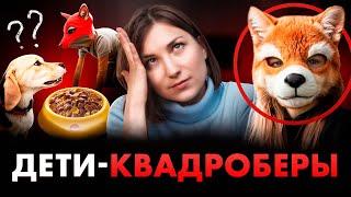 КВАДРОБЕРЫ. Дети ползают как животные! Это нормально?