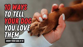 10 Heartfelt Ways to Show Your Dog You Love Them  | UZR Tube