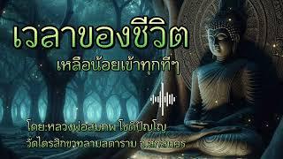 เวลาของชีวิตเหลือน้อยเข้าทุกทีๆ #ธรรมะ #ธรรมะสว่างใจ #หลวงพ่อสมภพโชติปัญโญ