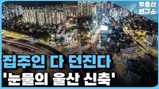 '집 주인 다 던진다' 끝없이 하락하는 가격에 절규하는 울산 신축 아파트. 울산 마피 아파트 TOP11