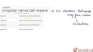 Unipolar nerve cell means